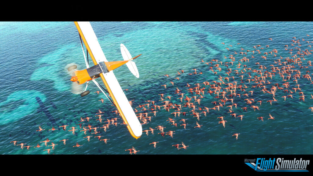 Plane flying over blue water and pink flamingos