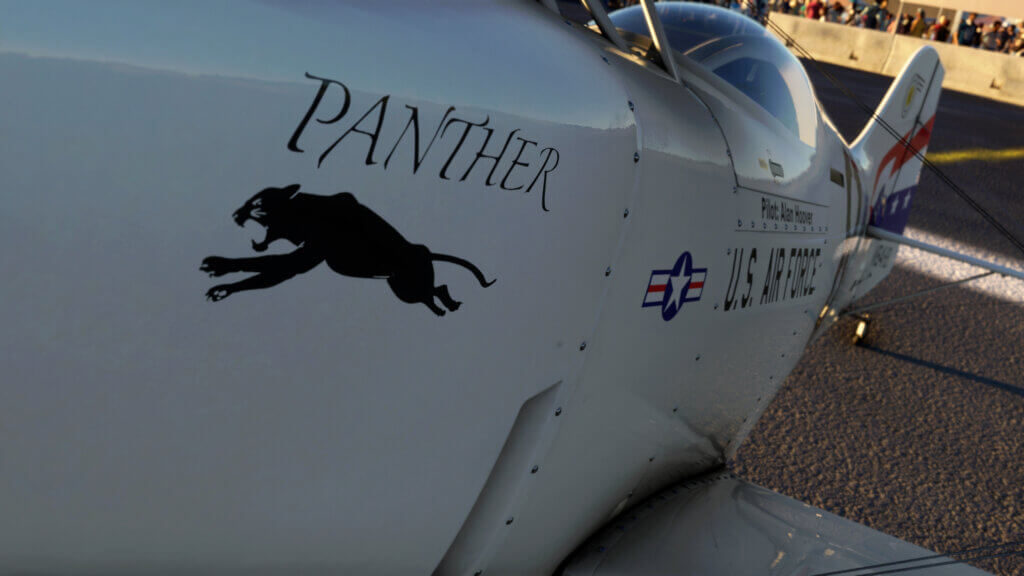 Panther plane