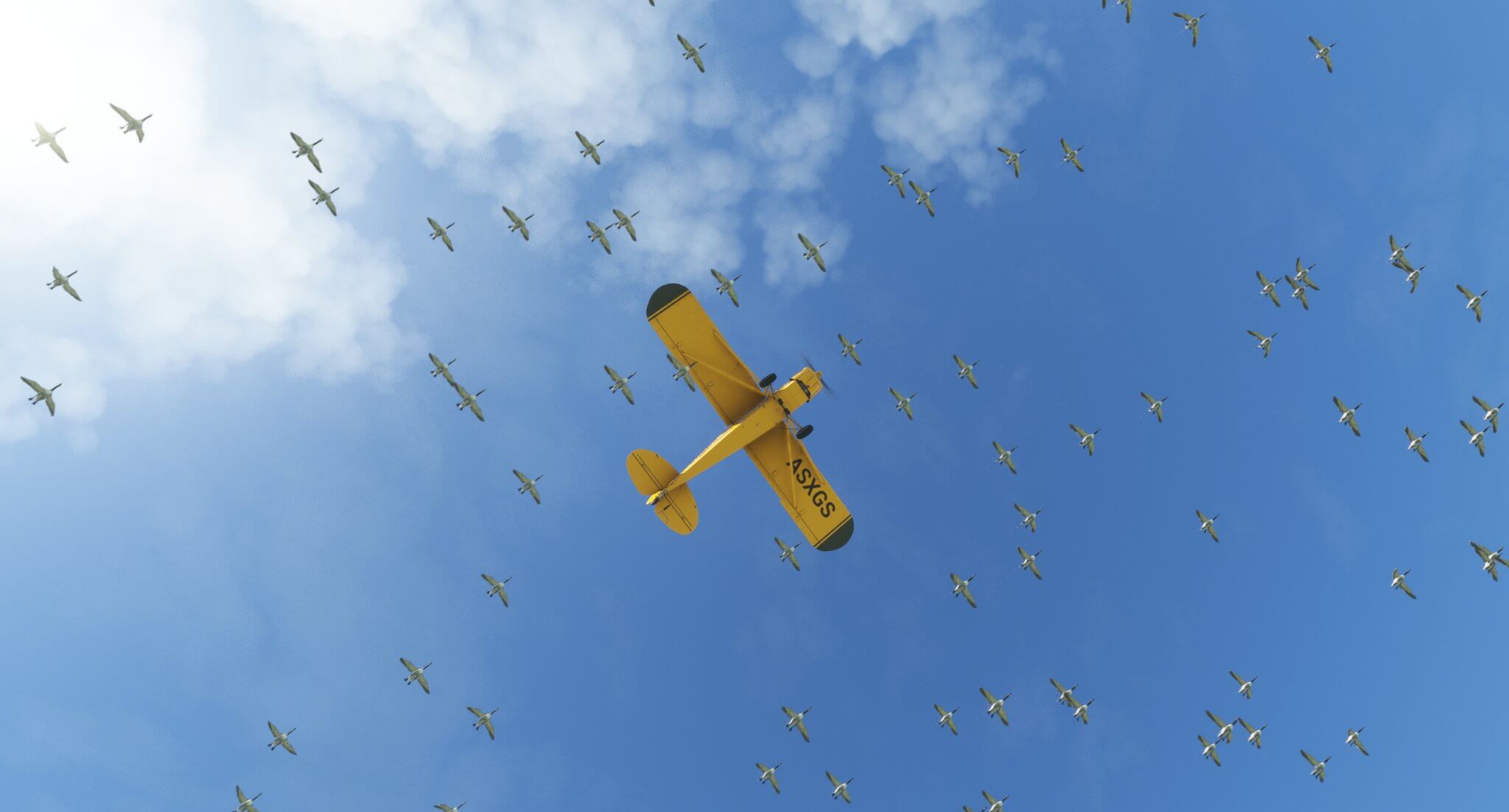 Bottom-up view of a Savage Cub flying with dozens of geese against a backdrop of a blue sky.