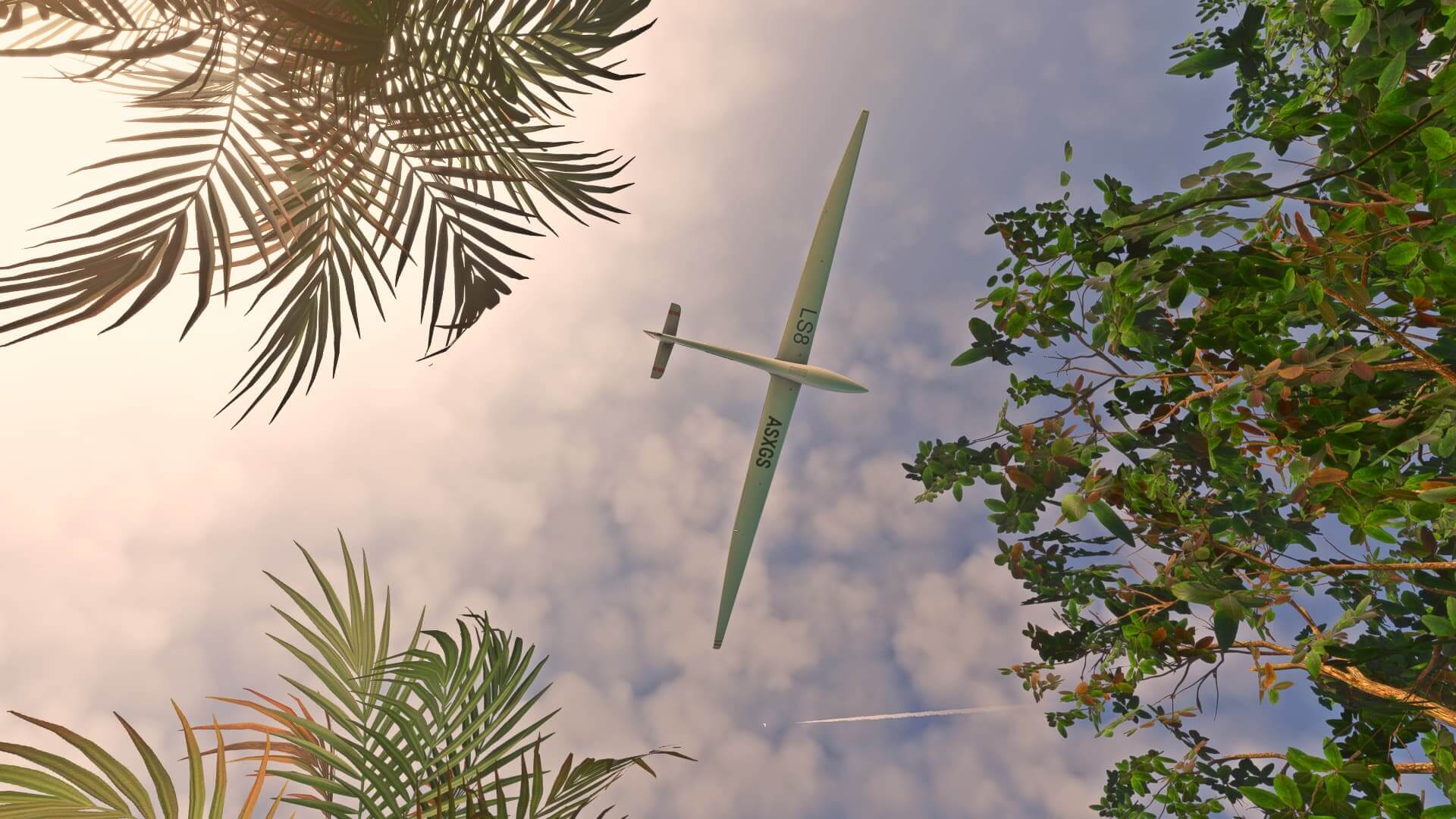 Bottom up view of a glider flying over some tropical foliage.