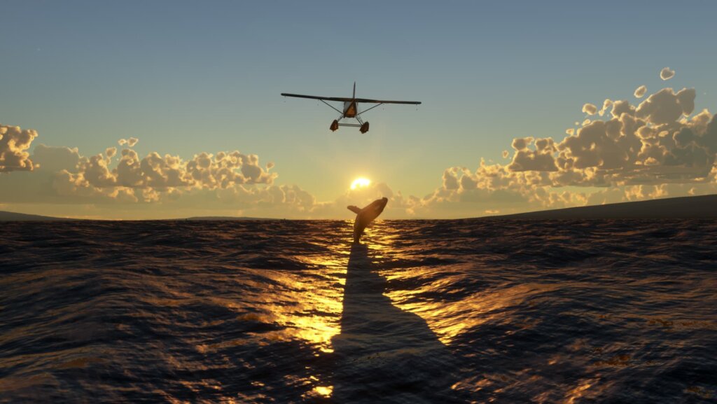 A light plane equipped with floats flies low over an orca cresting the surface of the ocean. The sun is setting in the background.