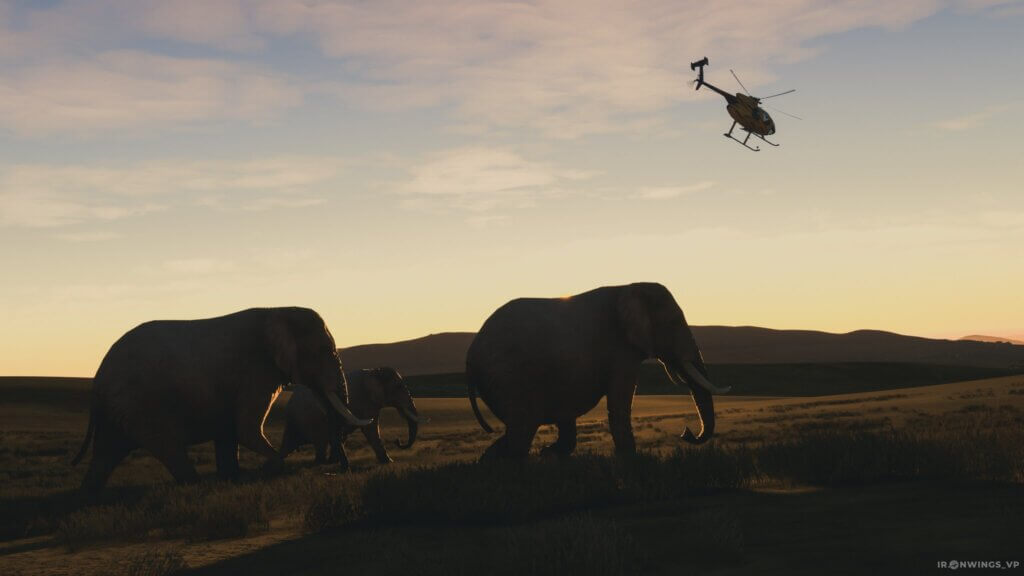A helicopter flies over three elephants.