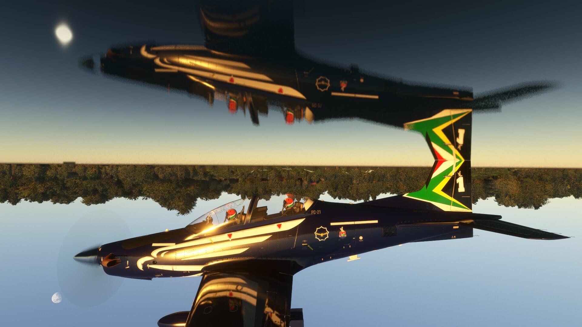 A PC-21 passes very low over still water whilst inverted, casting a perfect shadow on the water.