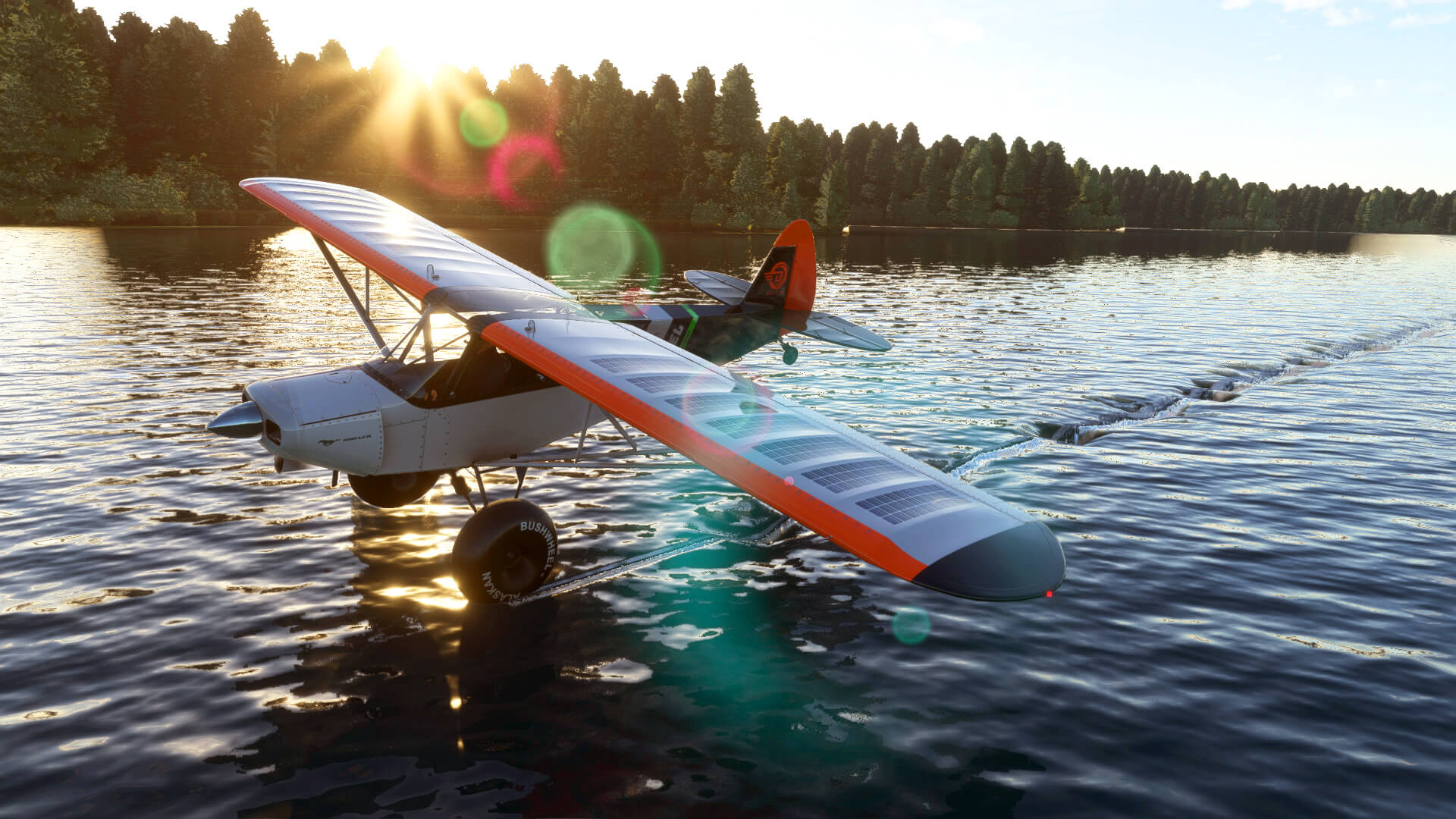 A bush plane makes light contact with the water on its left landing gear, and leaves a trail behind, with the sun shining through trees behind.