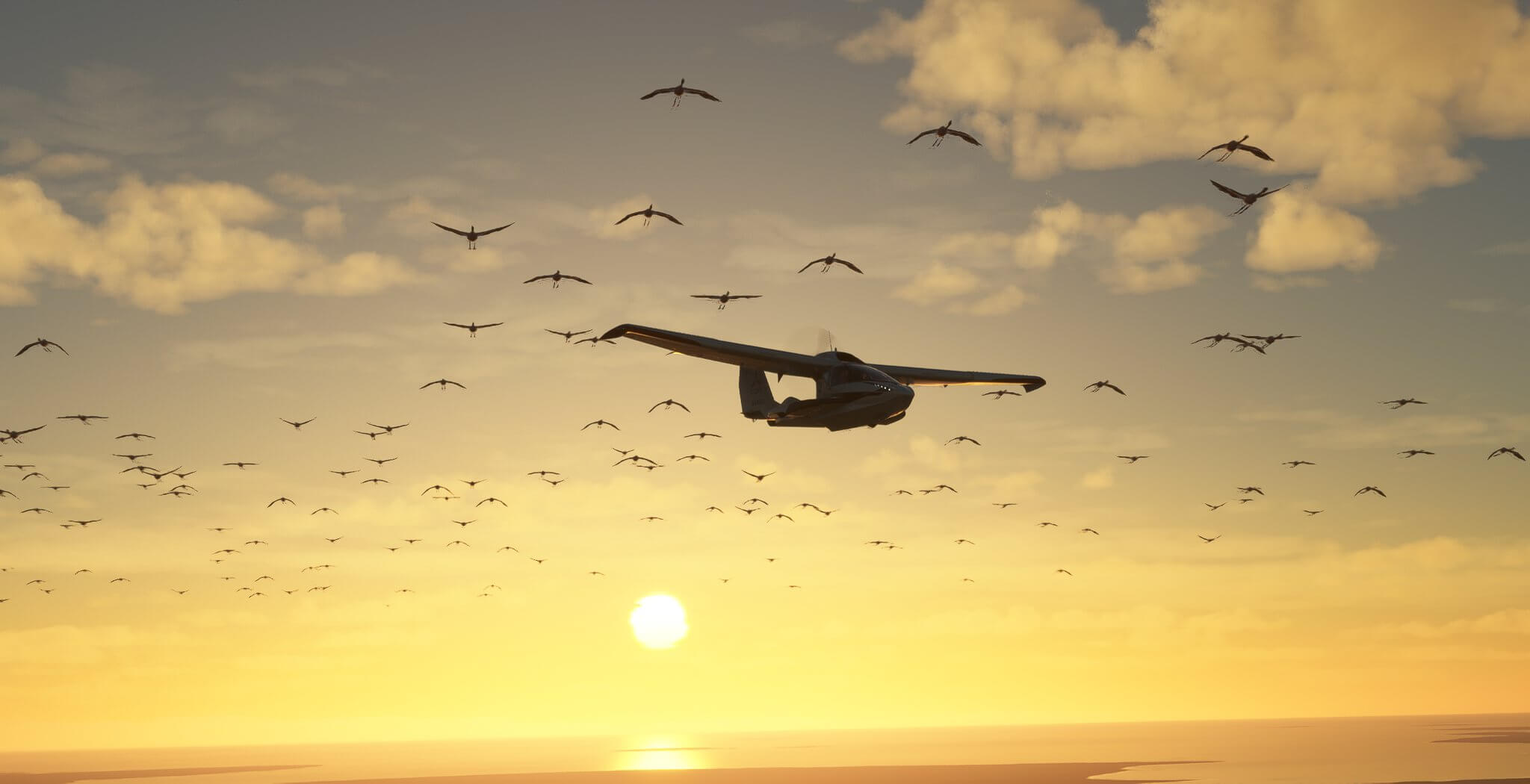 The Icon A5 flies with sunrise behind and a flock of birds in close formation.