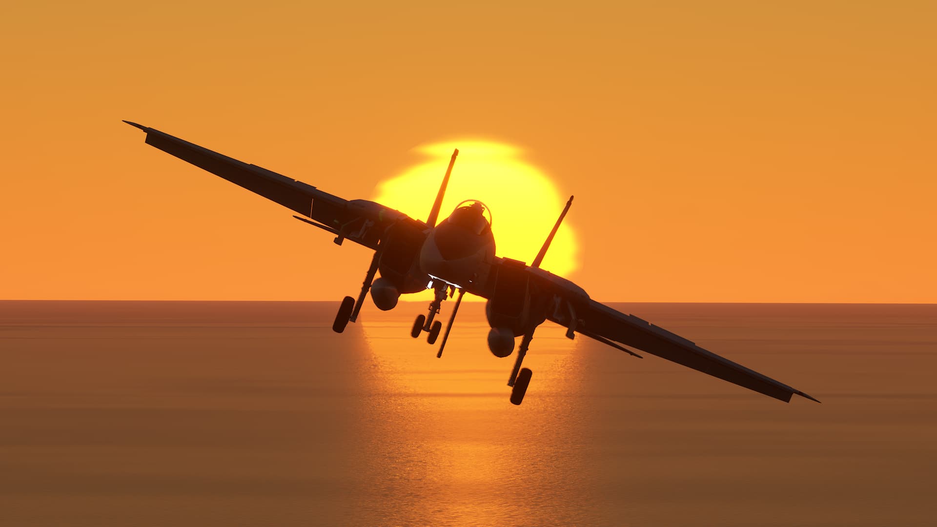 The silhouette of an F14 with landing gear and tail hook down whilst the sea sets on the horizon behind.