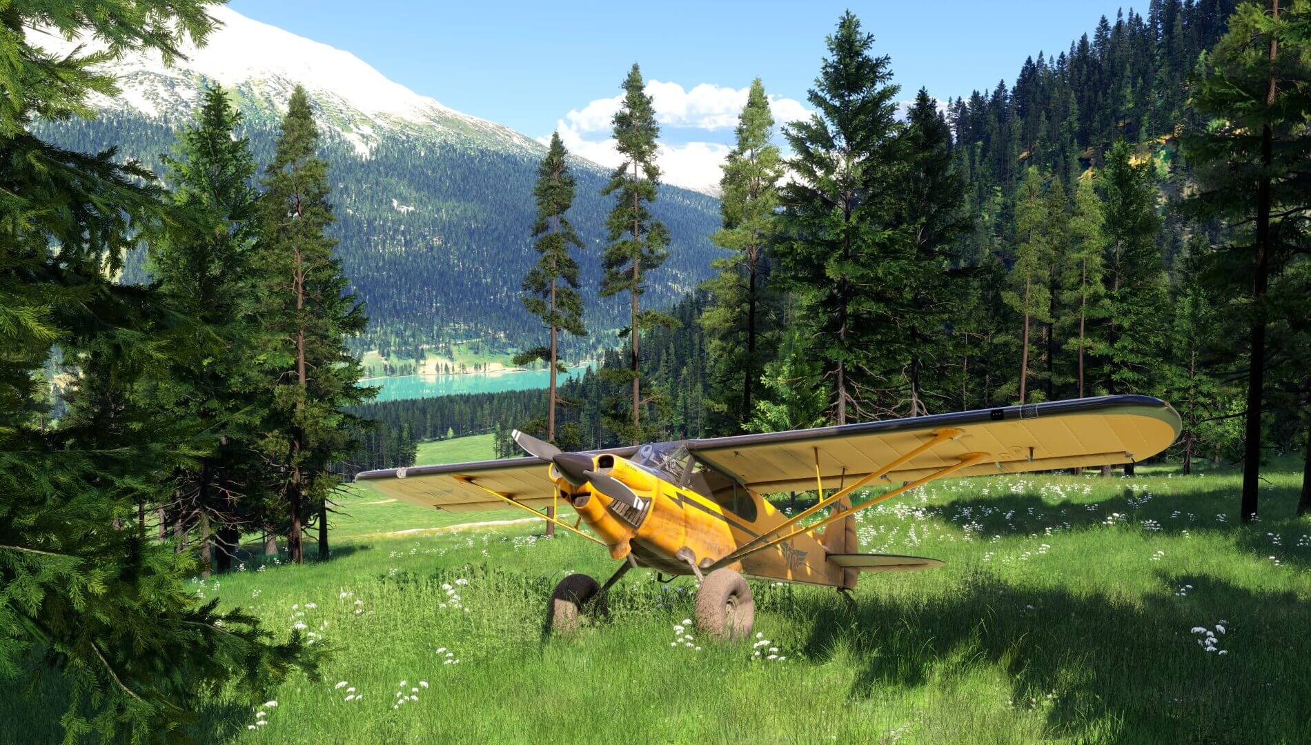 A CubCrafters XCub landed in a forest clearing