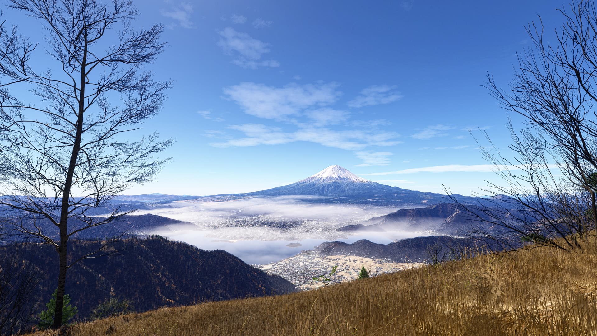 A view of Mount Fuji in Japan