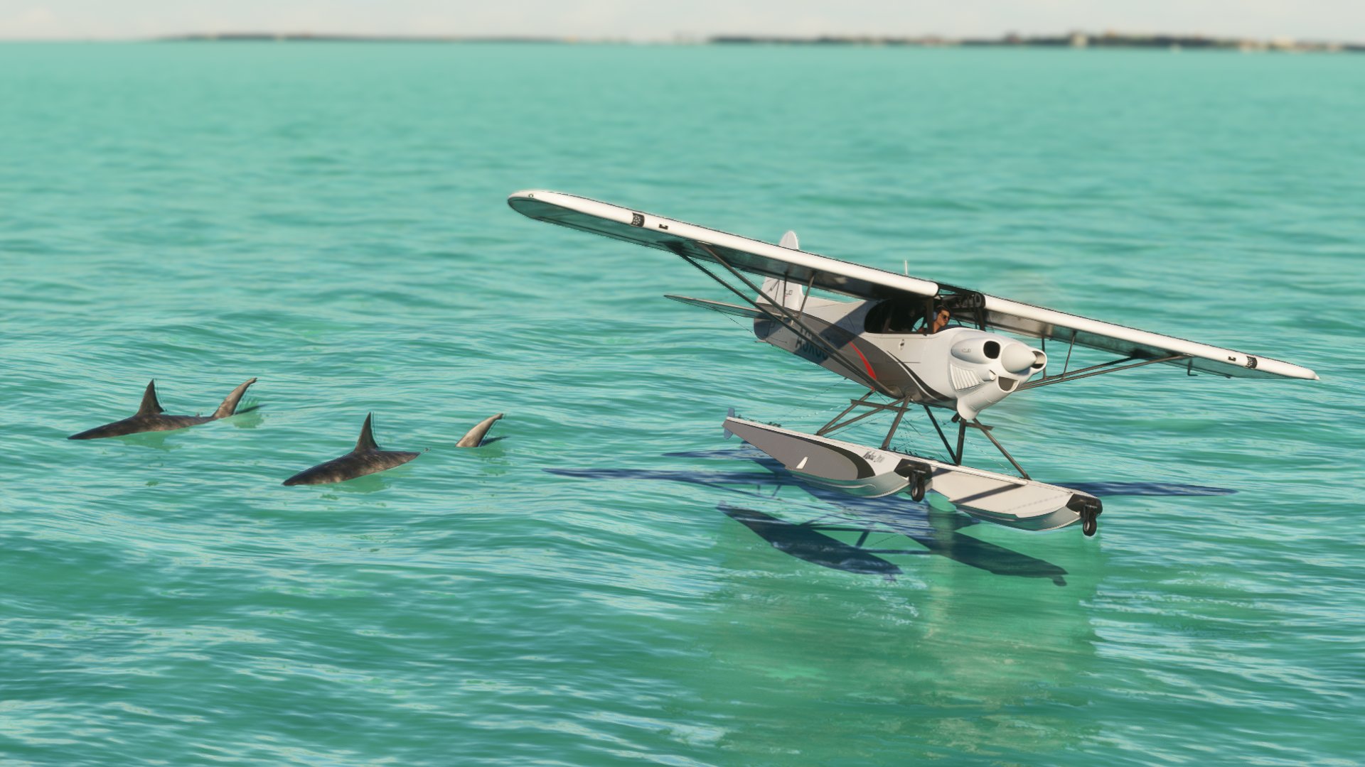 An X-Cub flies low over water with Dolphins skimming the surface