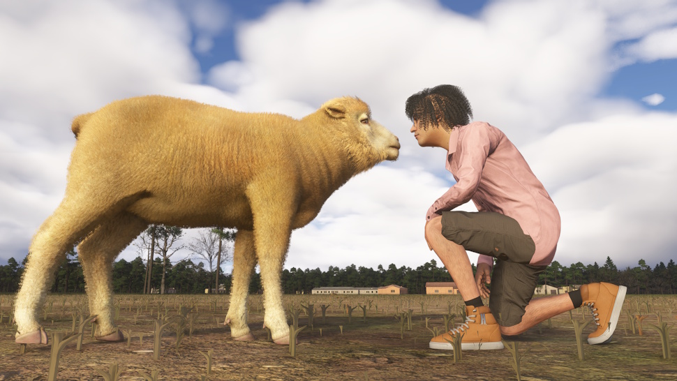 A sheep smells a human kneeling in front of them