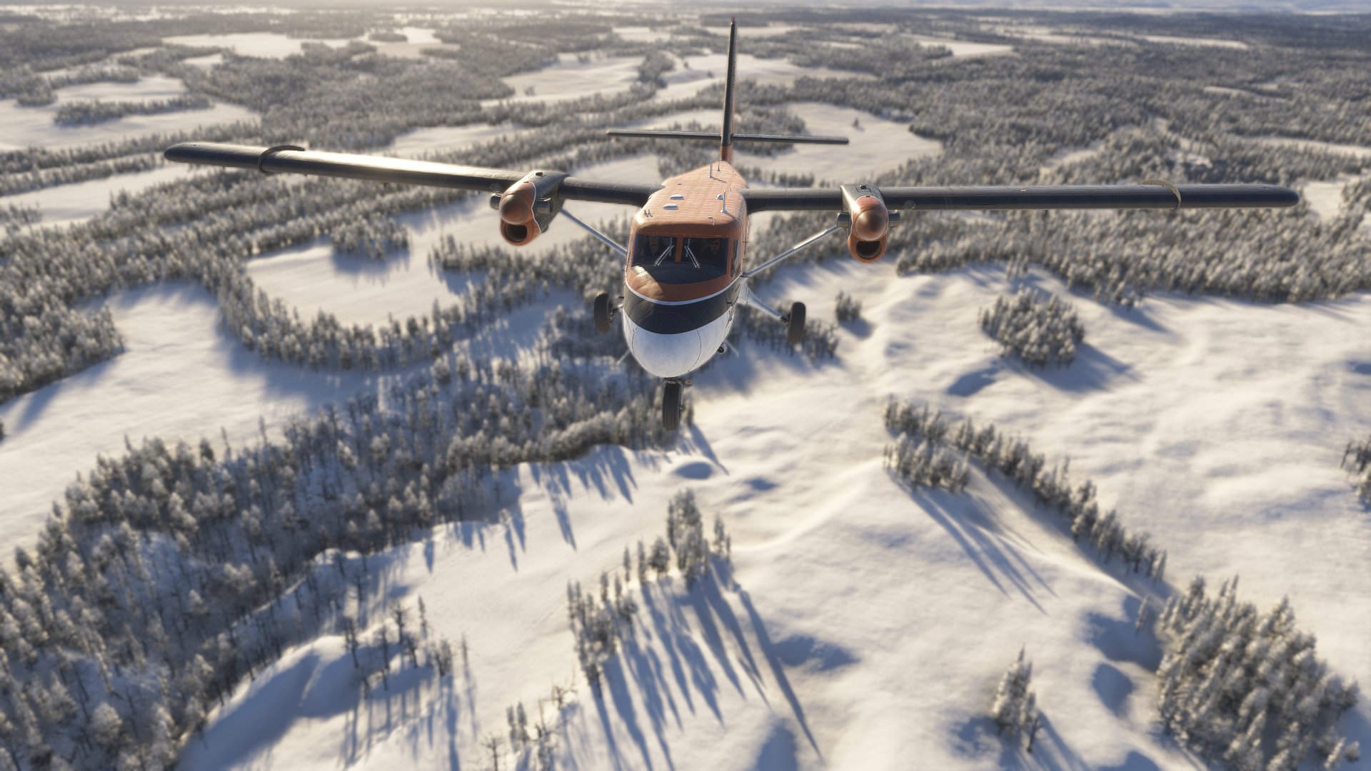 A Twin Otter flies over a snowy forest