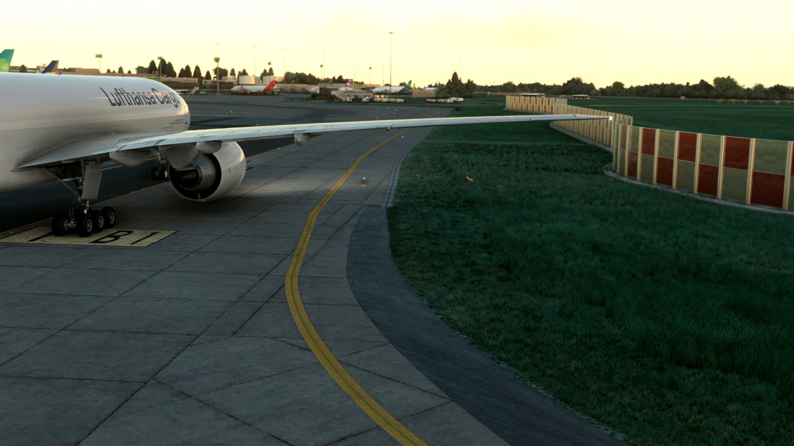 A Boeing 777 taxis at an airport with a Hare hiding in the grass nearby