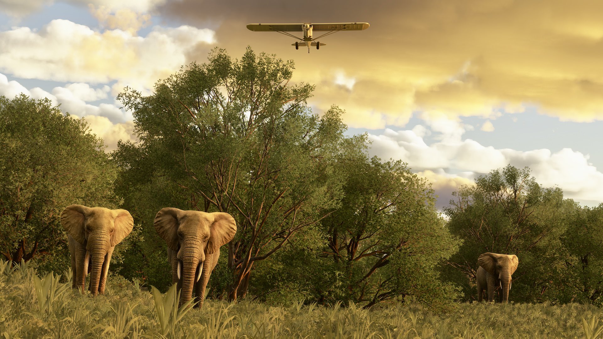 A high wing propeller aircraft passes above a group of three elephants emerging from trees