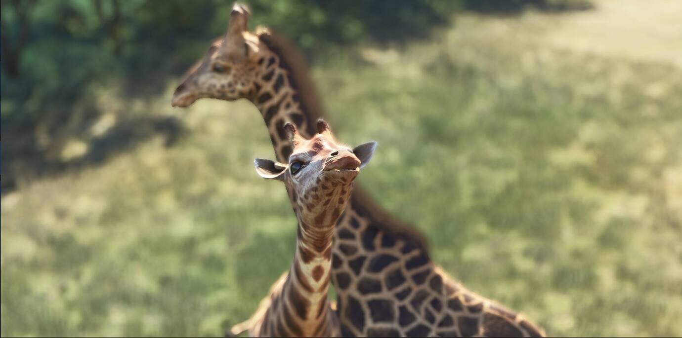 Two Giraffes in focus survey the area around them