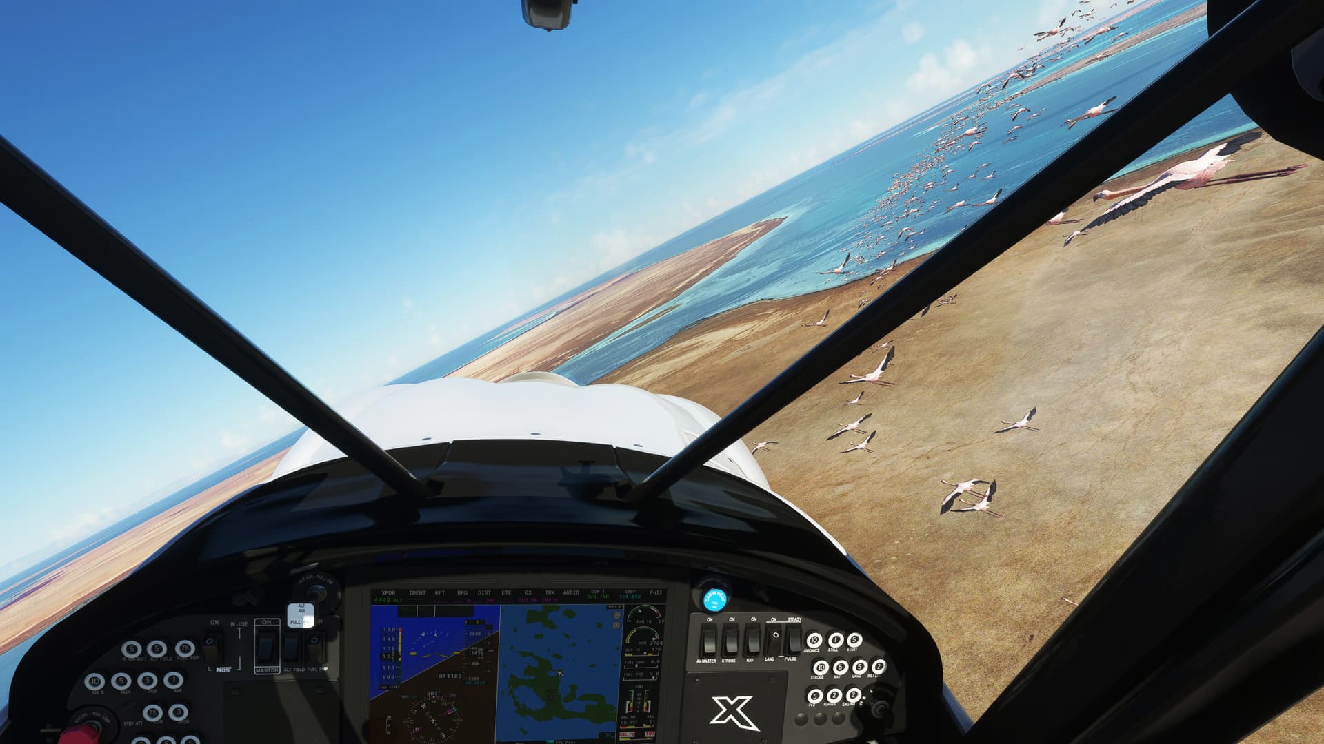 An X-Cub banks left close to a flock of Flamingos