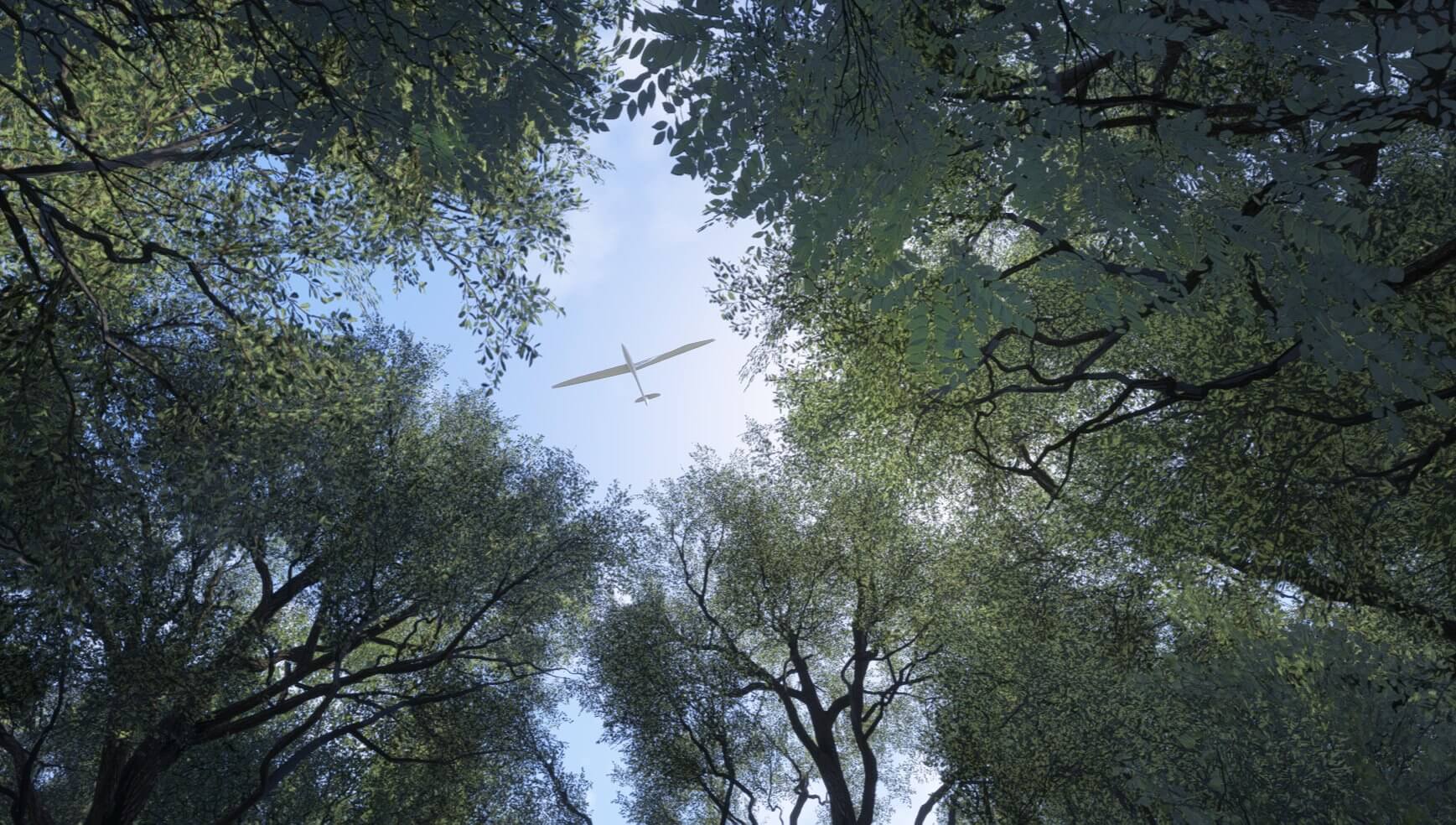 A glider in view between dense forest trees