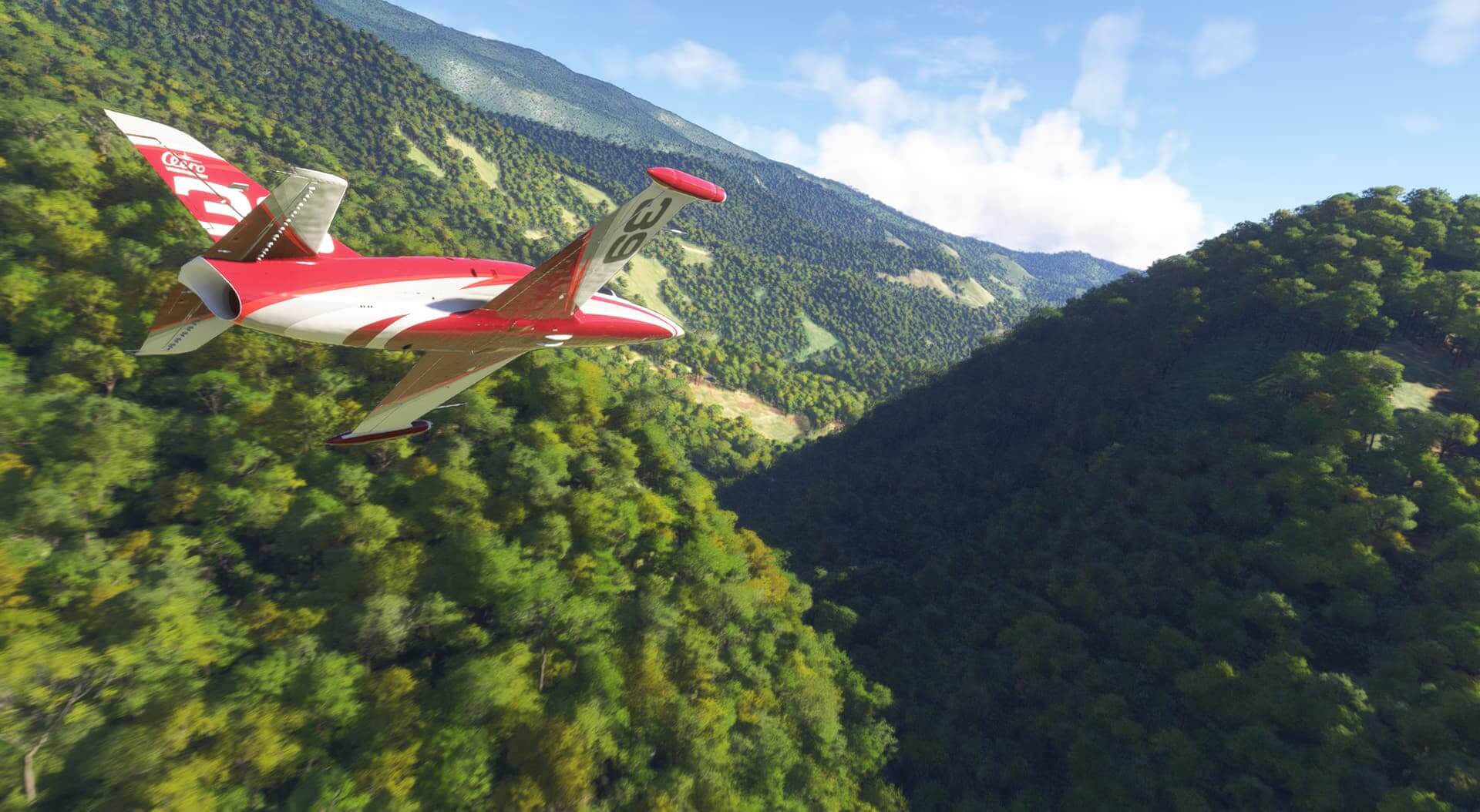 An L-29 jet in red and white paint scheme avoids tree tops whilst flying through a valley