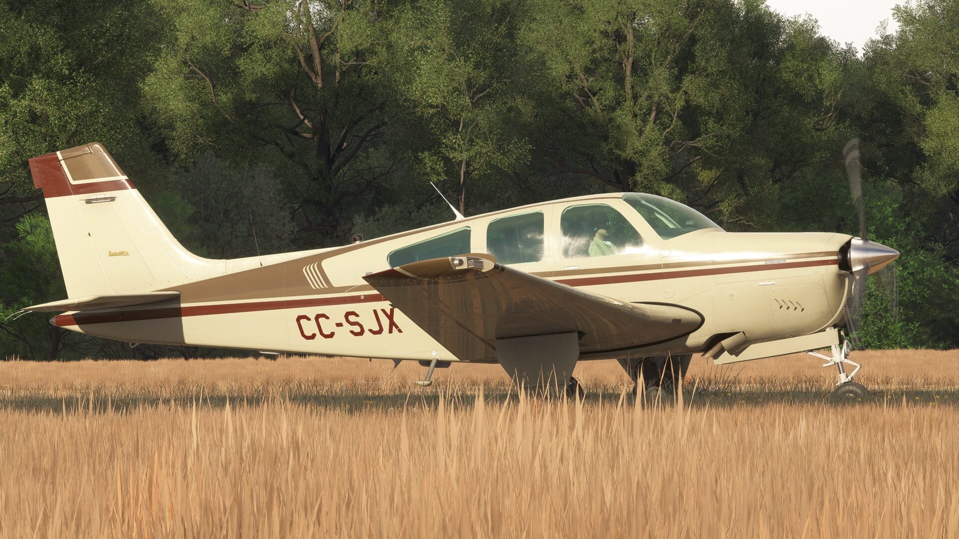 Carenado F33A