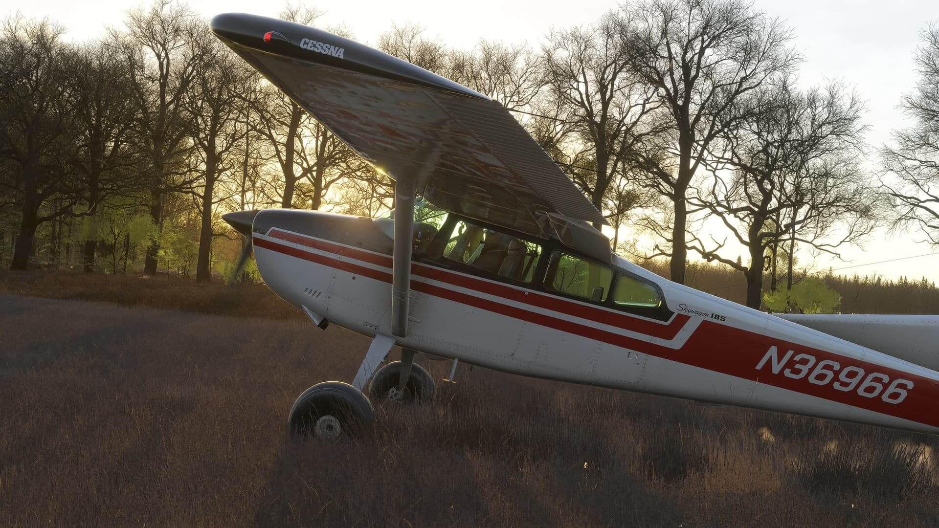 A Cessna Skywagon 185 sits on a grass strip with trees hiding the sun behind it