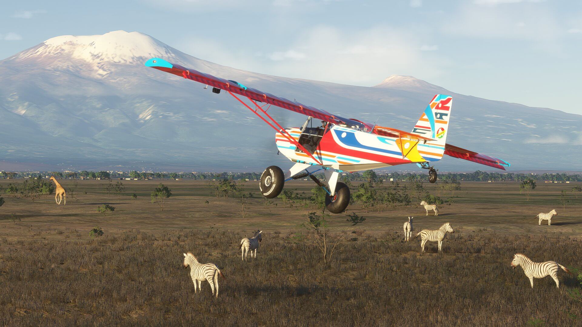 A high wing propeller aircraft in bright colours flies low over Zebras grazing in a field