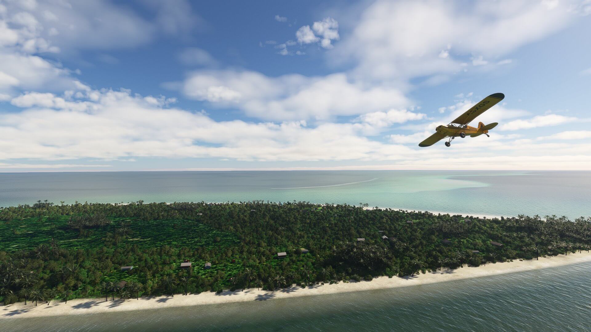 A Piper Cub banks to the left to get a better view of an island, which is densely populated by foliage