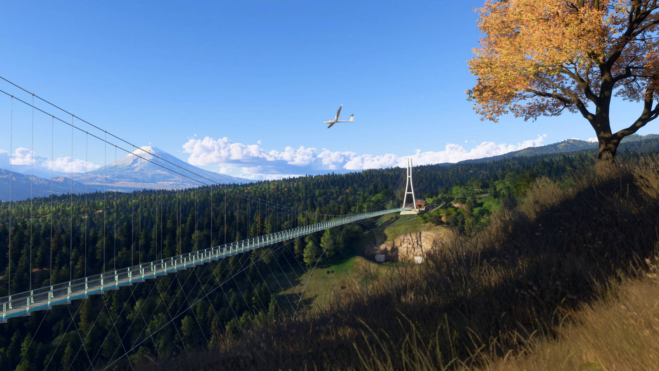 World Update 20: Japan