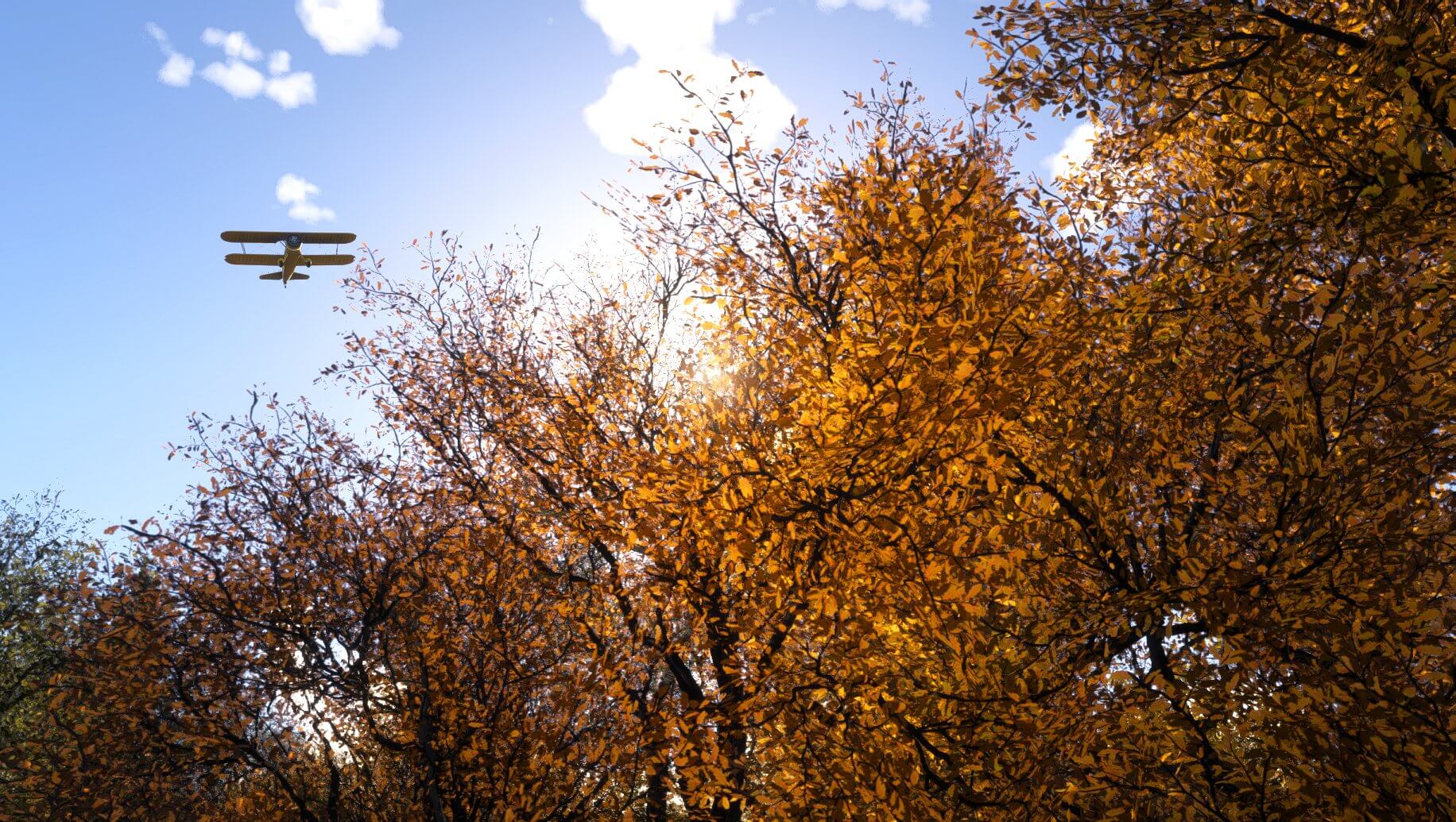 A dual wing propeller aircraft flies above orange autumnal trees
