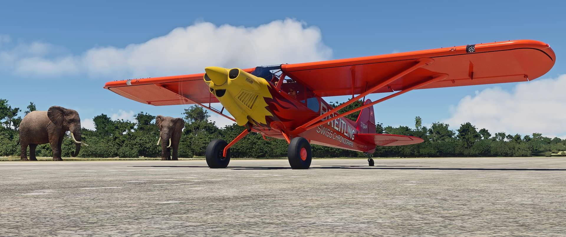 A red high-wing propeller aircraft on a tarmac runway with elephants stood behind
