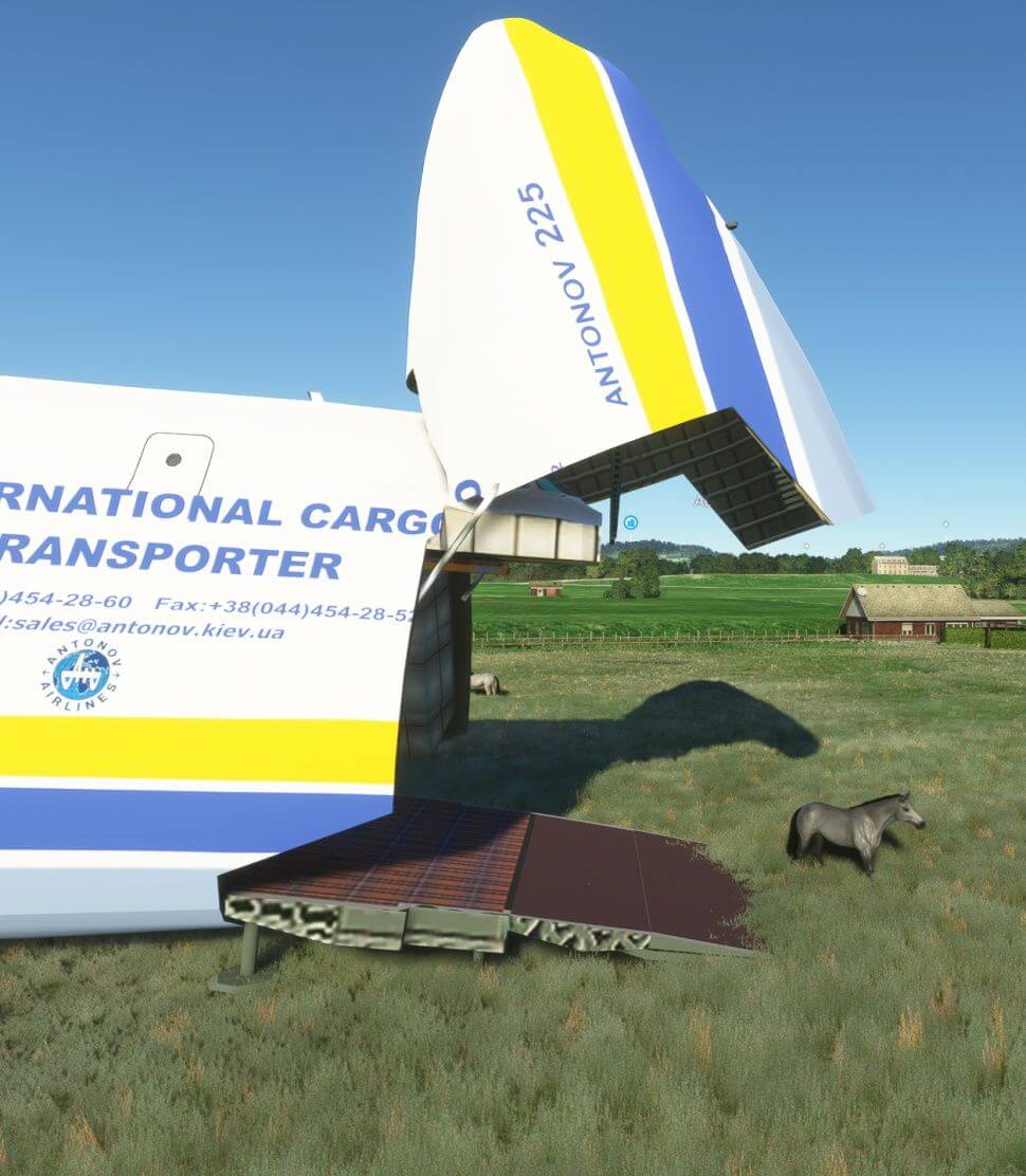 A horse stands close to the open cargo door of the AN-225