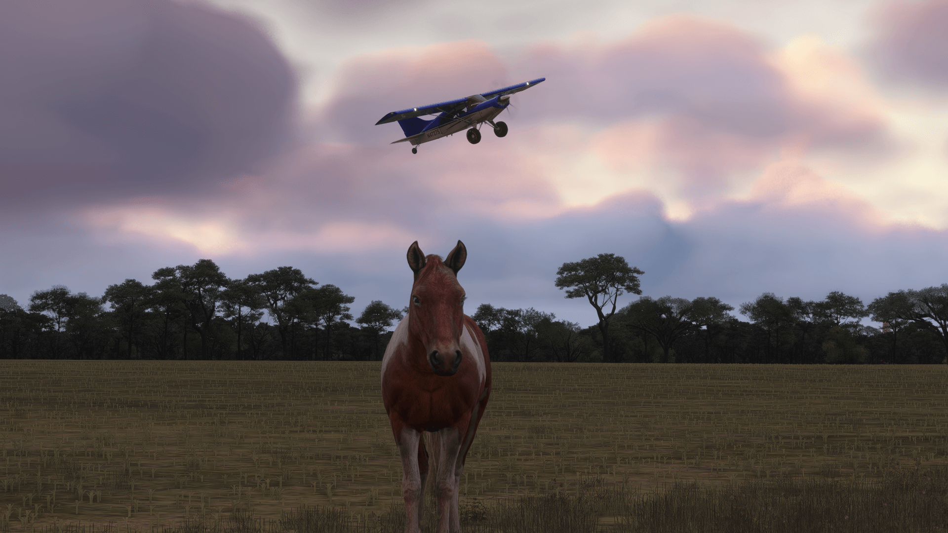 A blue propeller aircraft flies over a field with a horse grazing