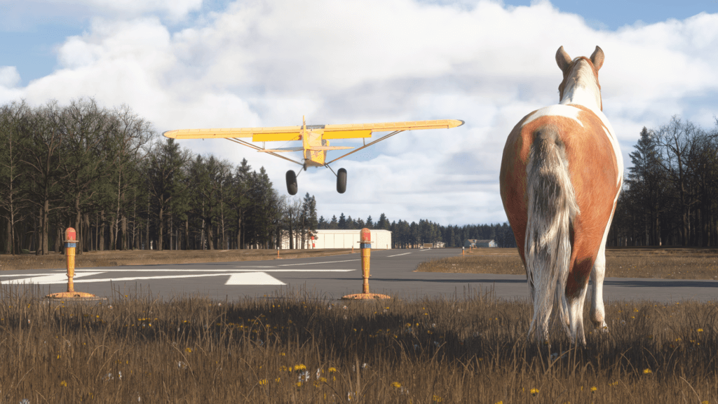 A horse looks on at a yellow propeller aircraft coming in for a landing