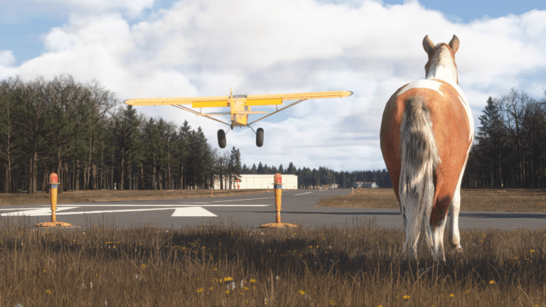 A horse looks on at a yellow propeller aircraft coming in for a landing