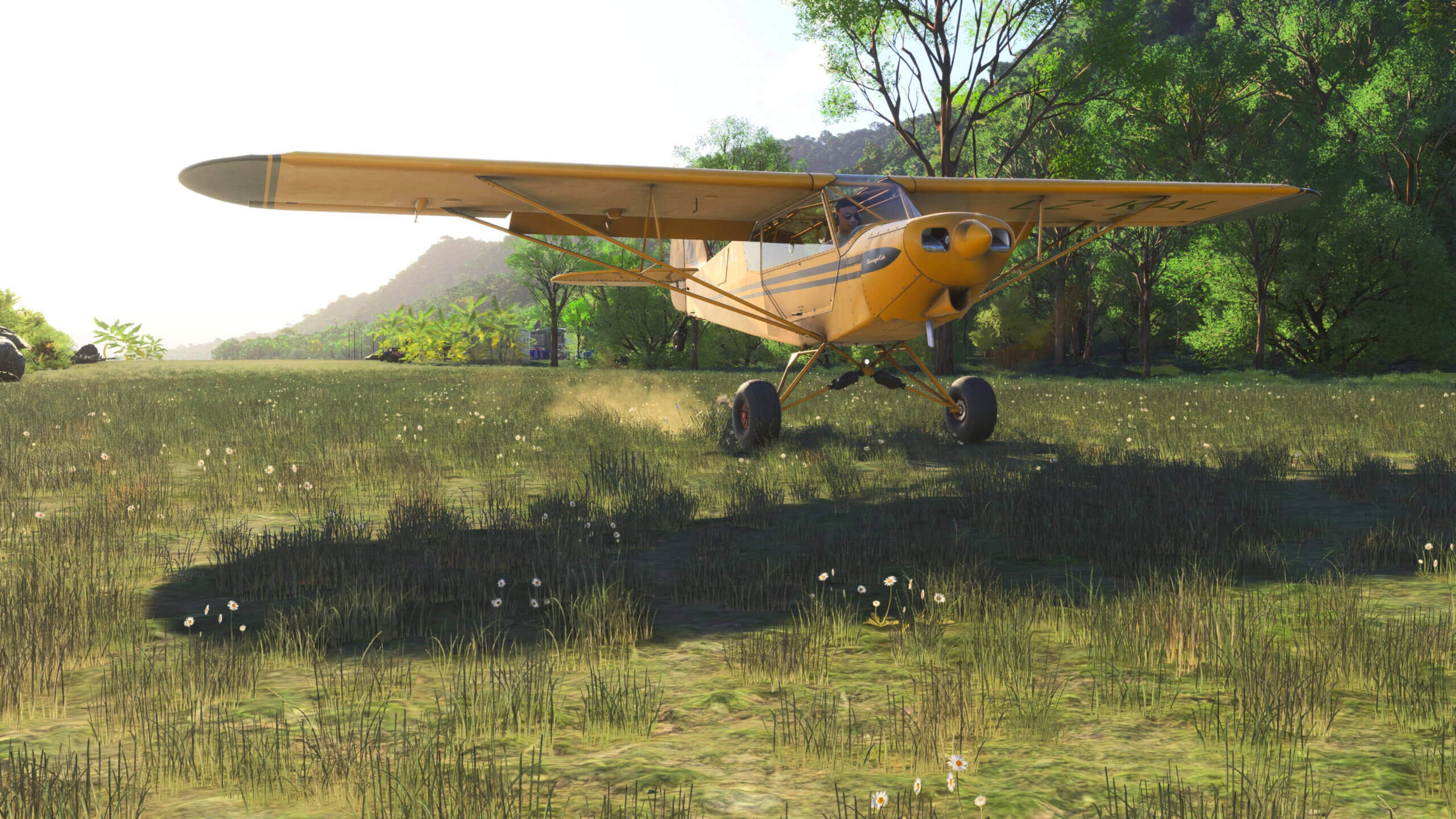 A Savage Cub touches down on a grass strip runway