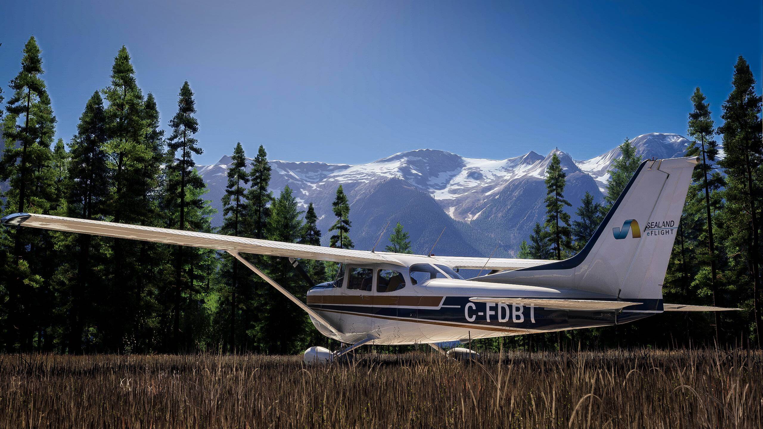 A Cessna 172 parked on a grass strip runway with a snowy mountain in view behind