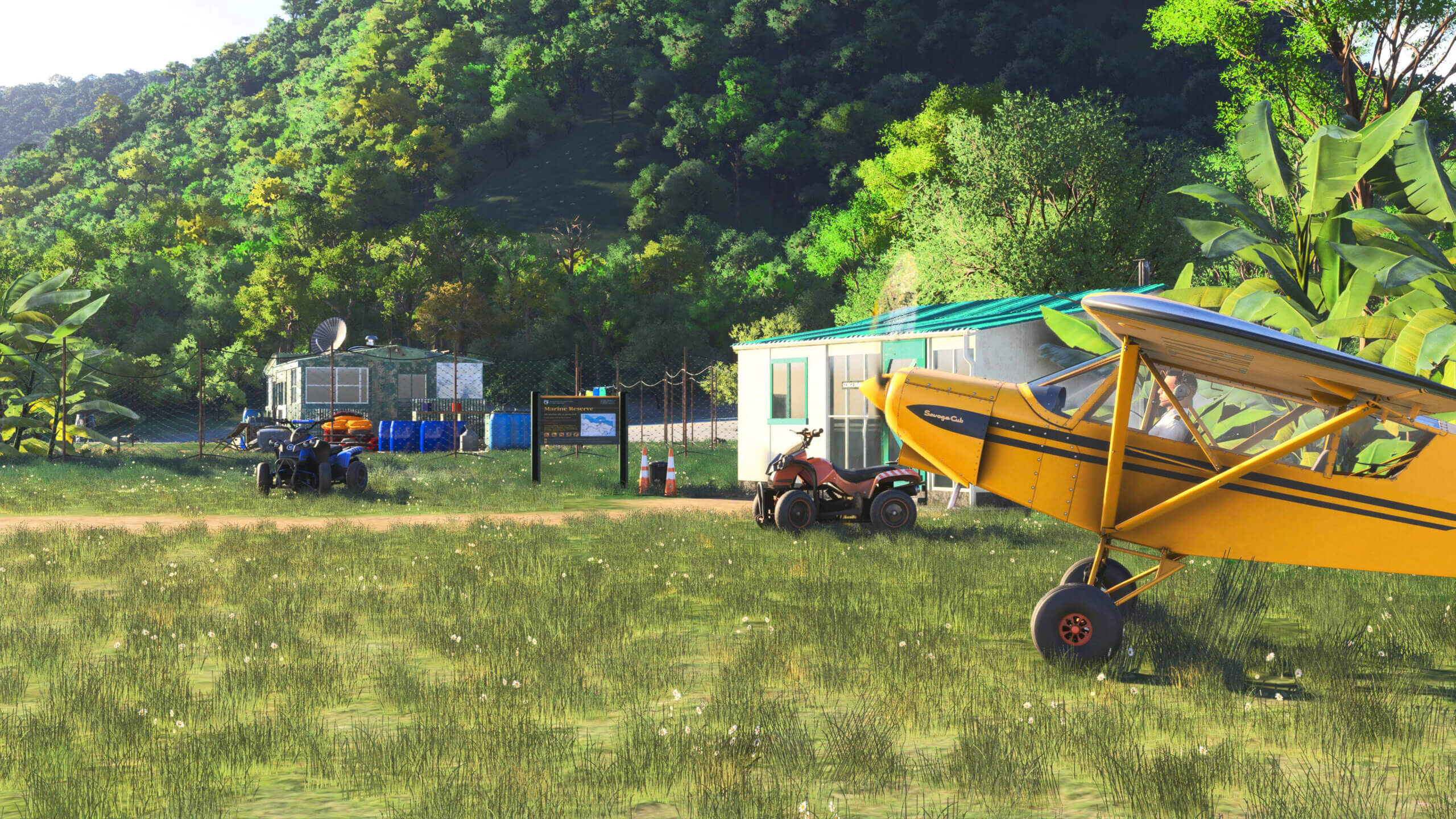 A Savage Cub starting its engines at a grass strip airport