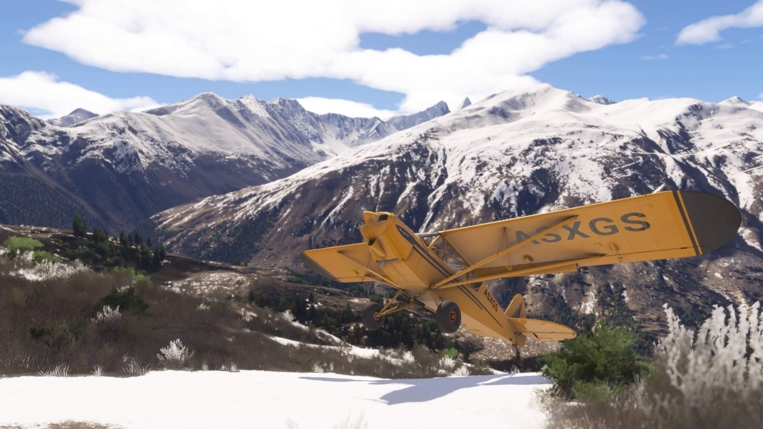 A Savage Cub pulls up sharply on a snowy mountain