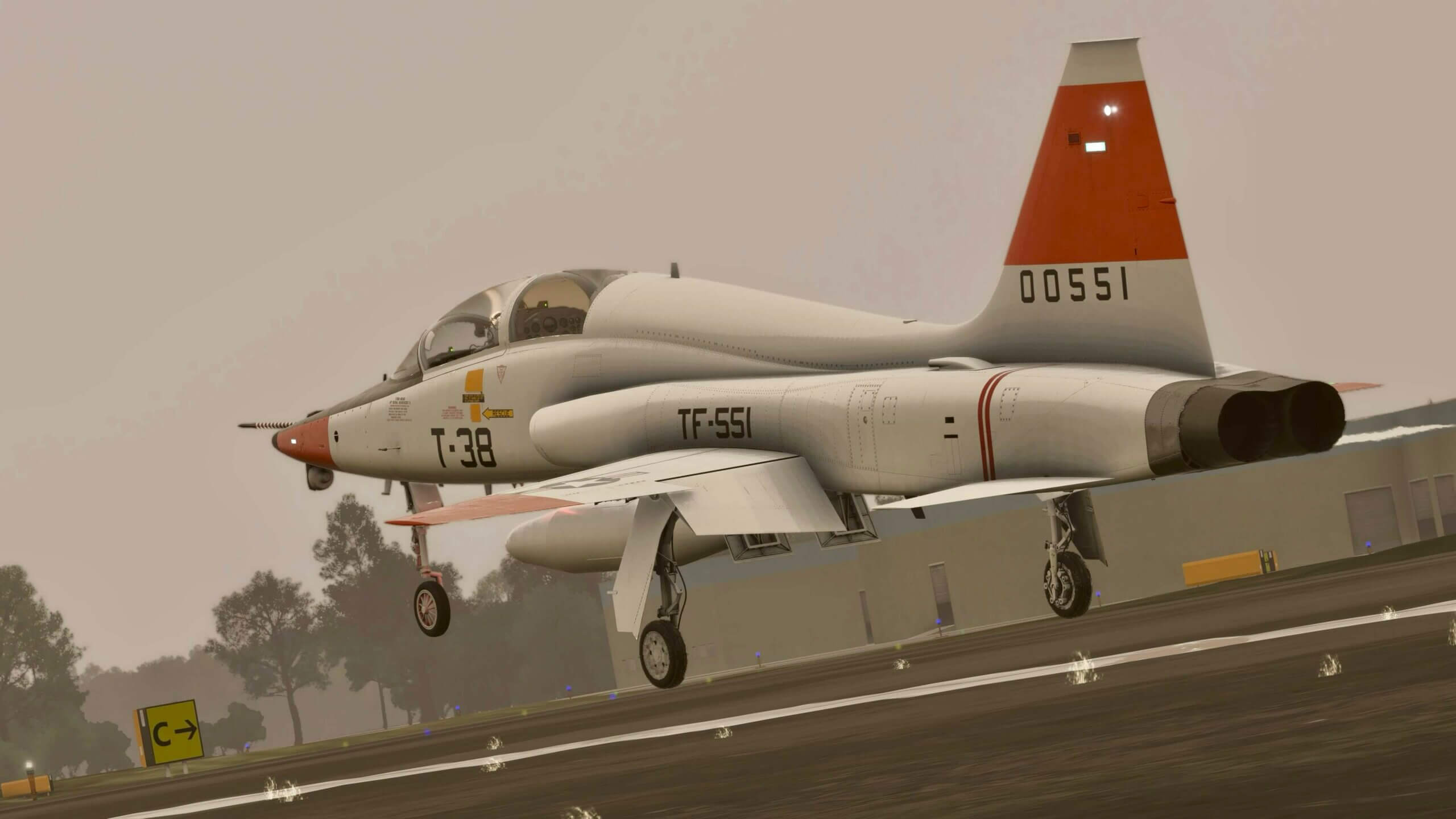 A T-38 Talon flares during landing on a runway