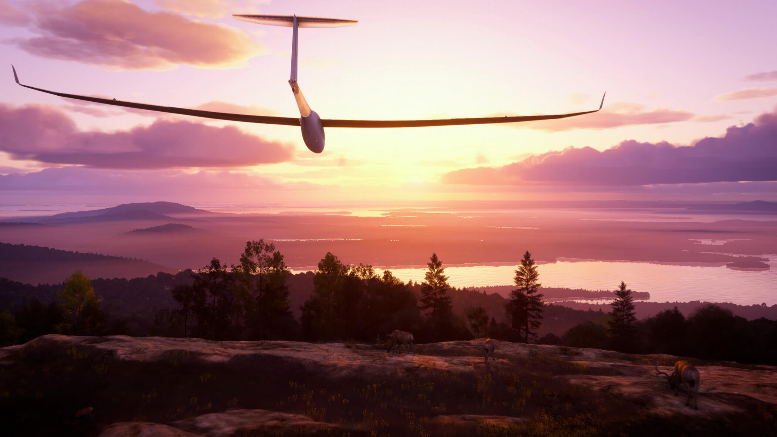 Acadia National Park