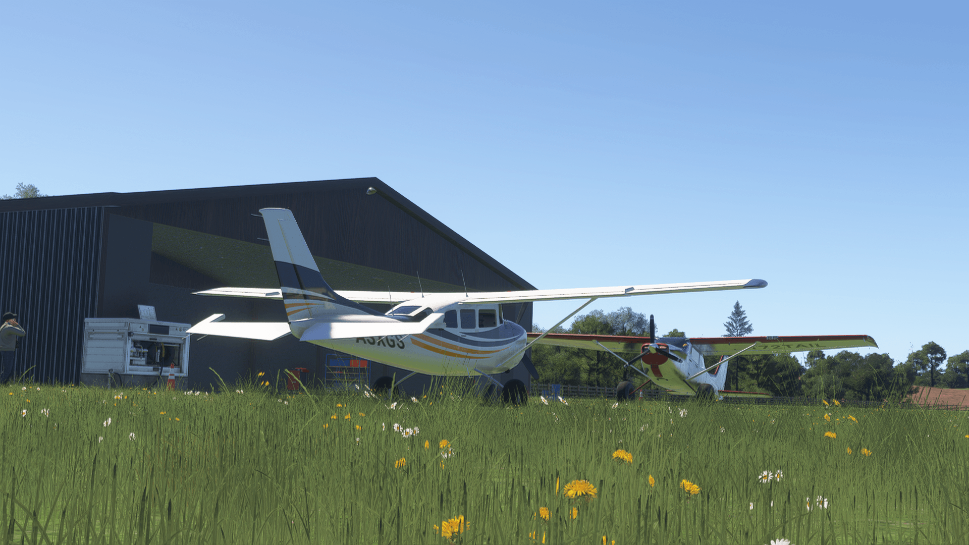 Two Cessna aircraft parked on the grass outside an airport hangar