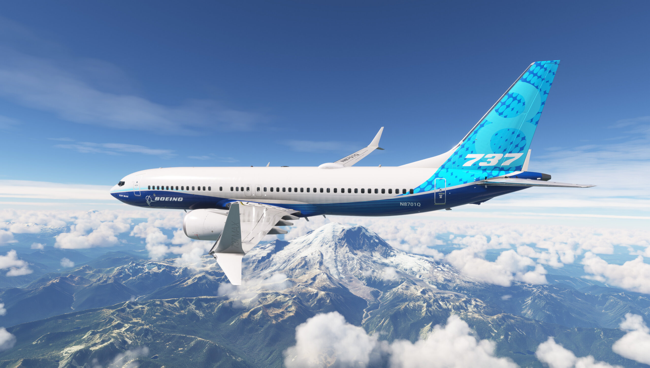 The Boeing 737-8 in cruise