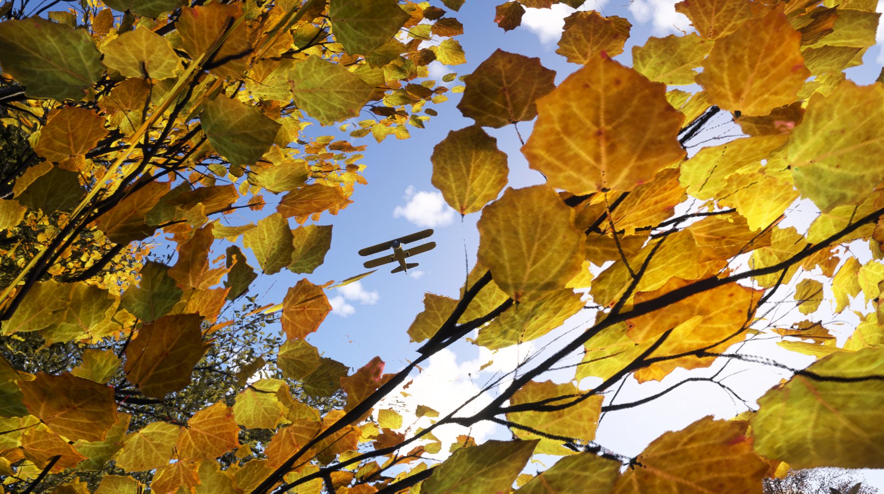 A dual wing aircraft flies above autumn colored trees