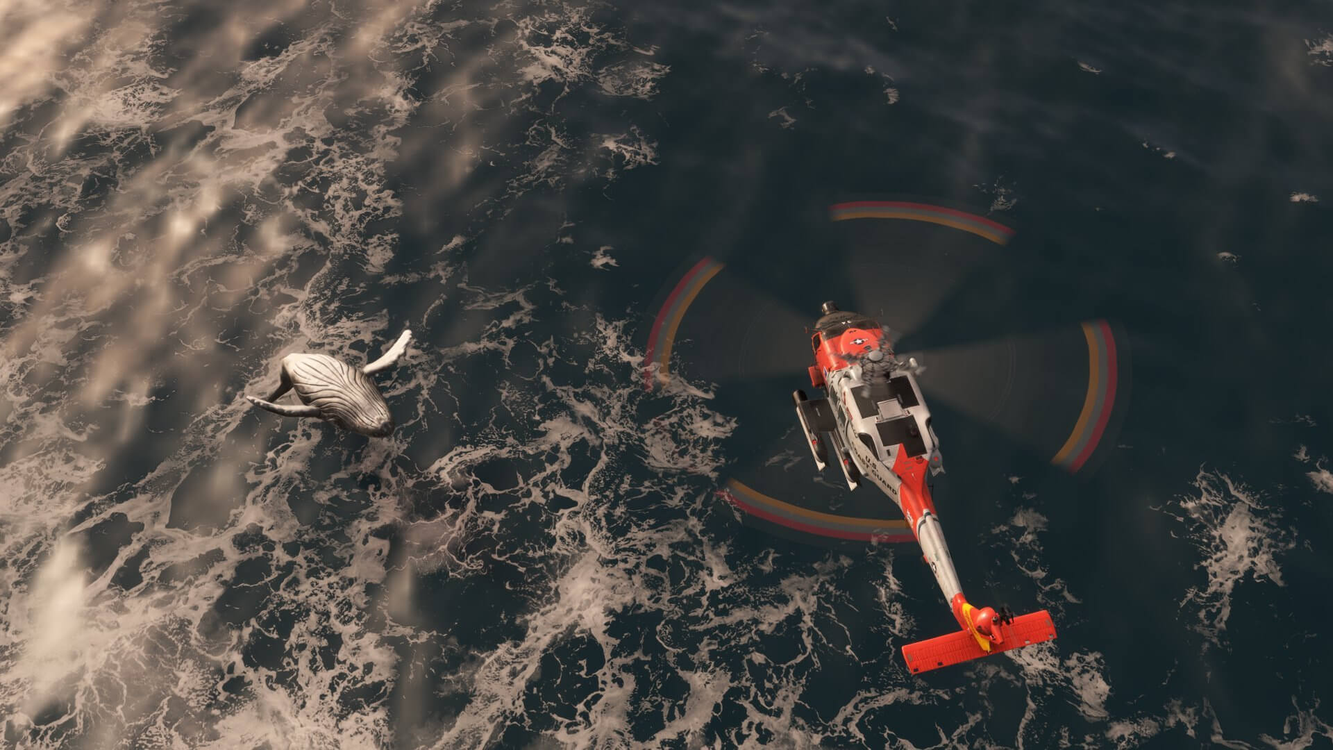 A US Coast Guard helicopter flies over a whale jumping out of the ocean