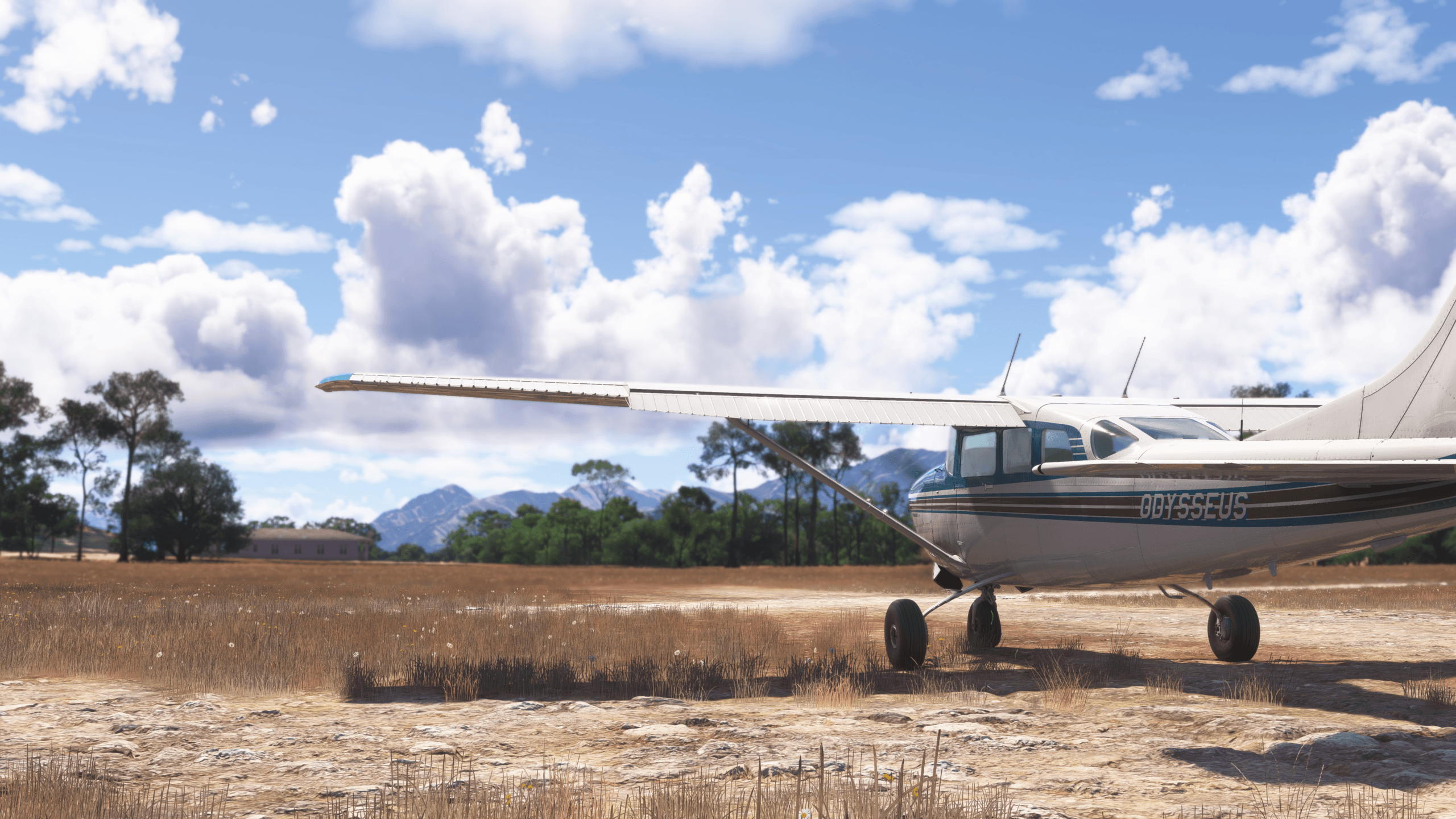 A Cessna lines up on a grass strip runway